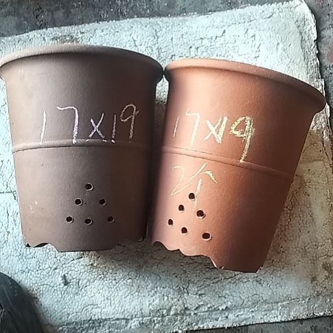 红泥紫泥腰缠万贯两个微瑕