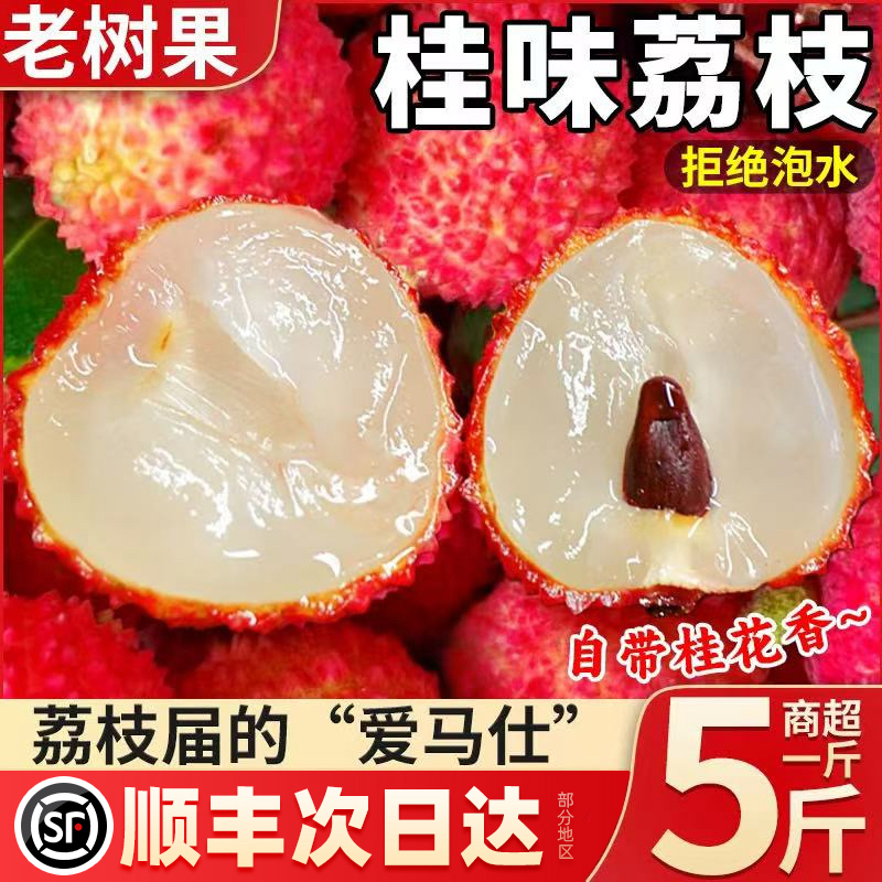 【5斤装】次日达茂名高州桂味荔枝新鲜现摘纯甜顺丰快递荔枝同城送