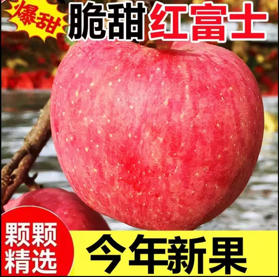 正宗山东红富士苹果当季新鲜水果脆甜多汁水果产地直发新鲜采摘zy