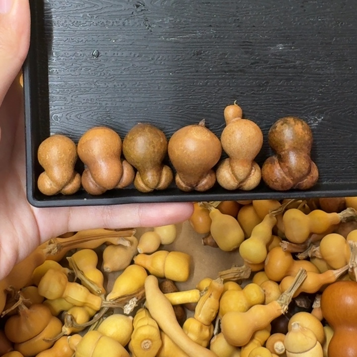 葫芦葫芦葫芦可拆