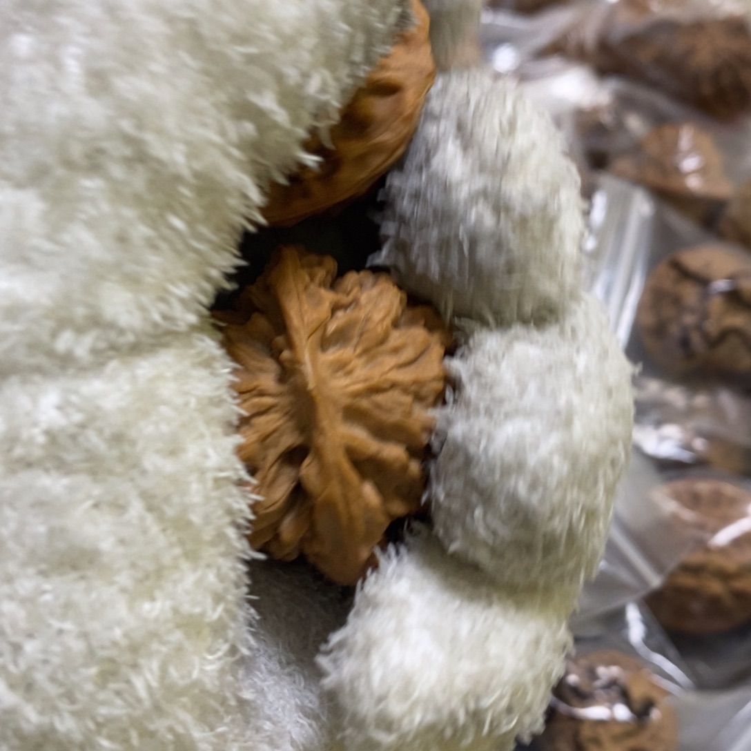 秦岭森林中出险秦闷