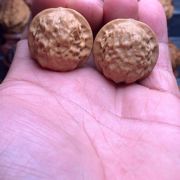 桃核把件B****)，11111112221111