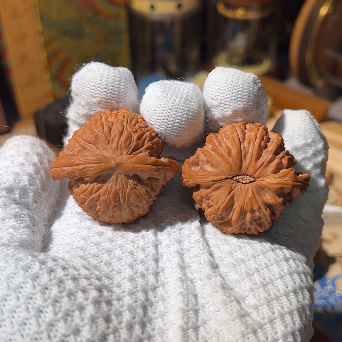 把件文玩核桃白狮子42