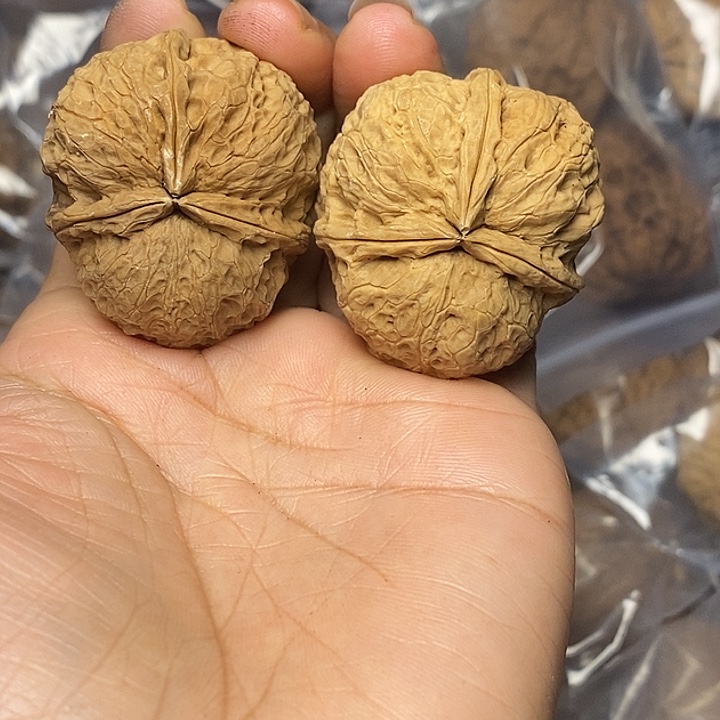 把件文玩核桃云南铁核桃39