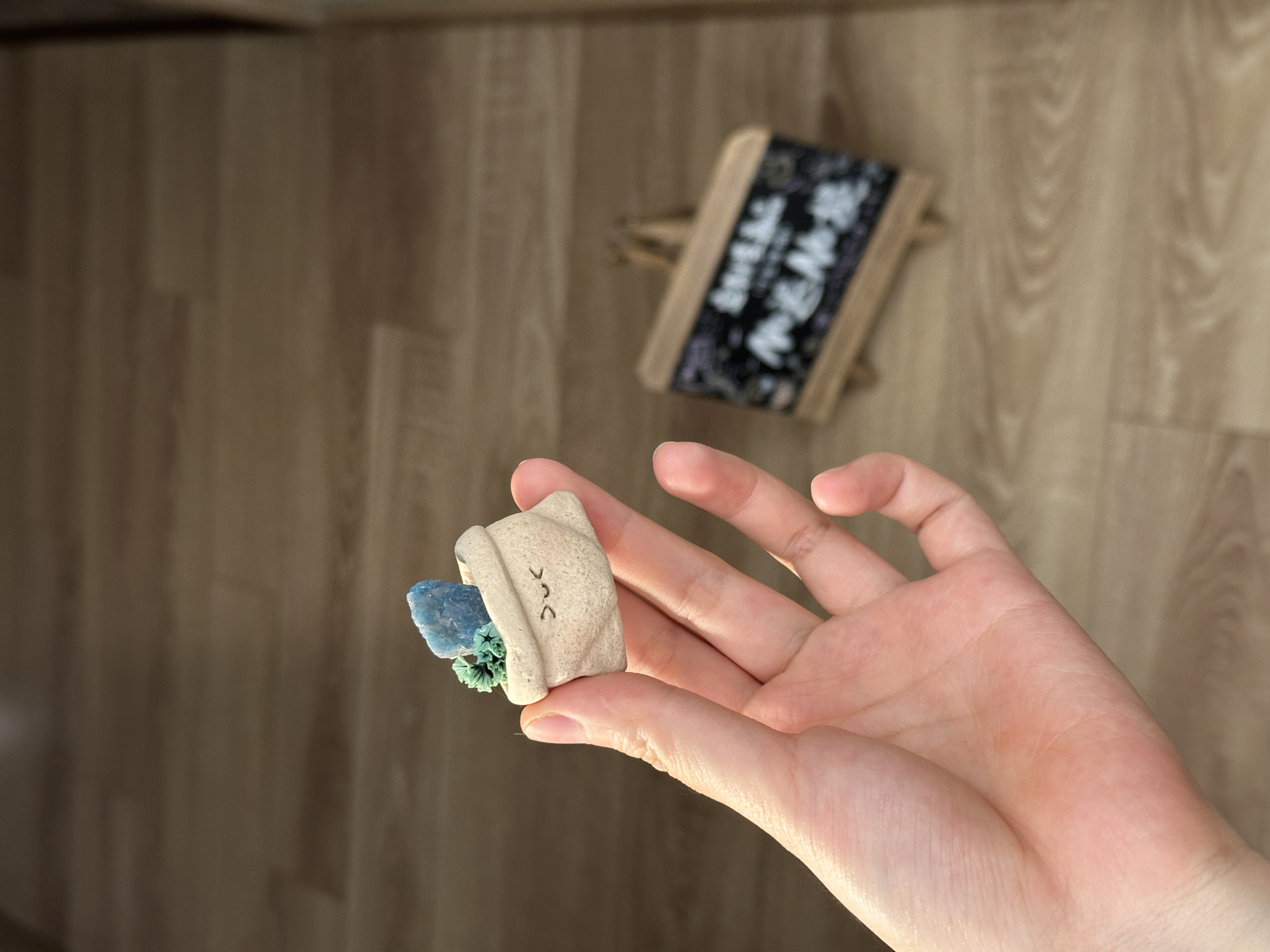 水晶小豆丁可爱蓝林辉