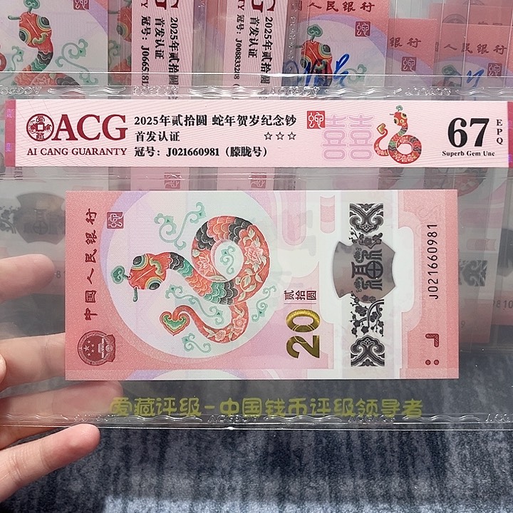 塑料021660981。。。。。。朦胧