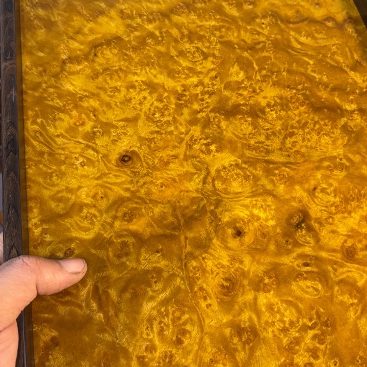 木黄金樟留疤超大托盘