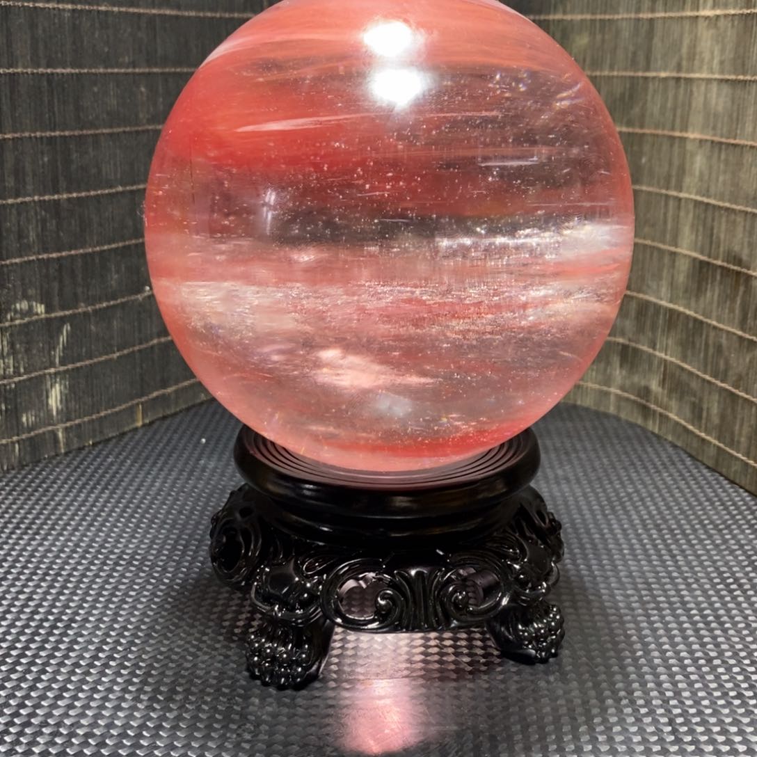 茶宠我在这里等你回来