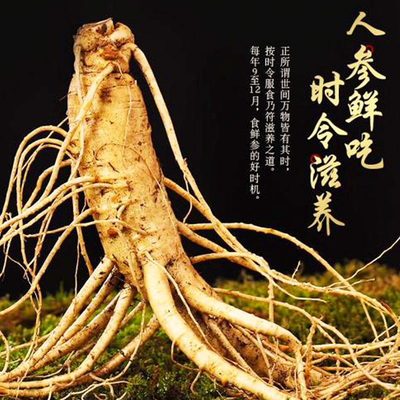 泡好的英雄二十源气液（君子二十泡久料）20种真材实料