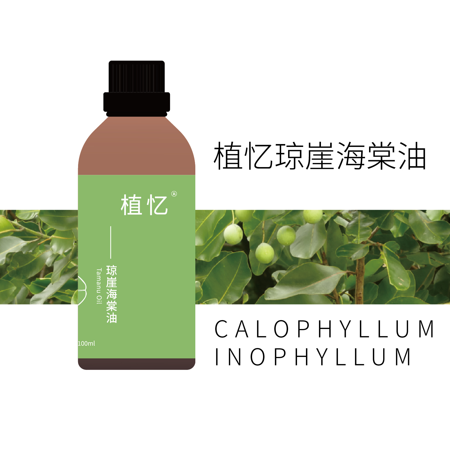 植忆【琼崖海棠油】（身体按摩首推）马达加斯加护肤按摩植物基础油