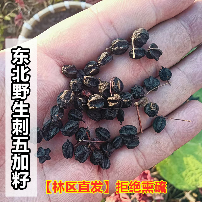 新货东北野生刺五加籽干货长白山特产中草药天然刺五加果子茶睡眠