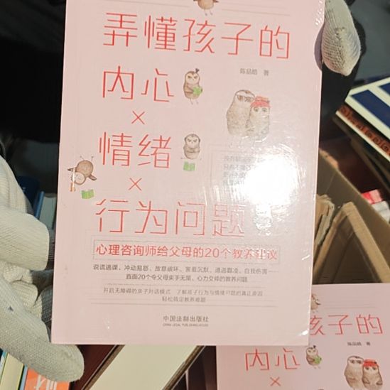 弄懂孩子内心情绪平装库存书