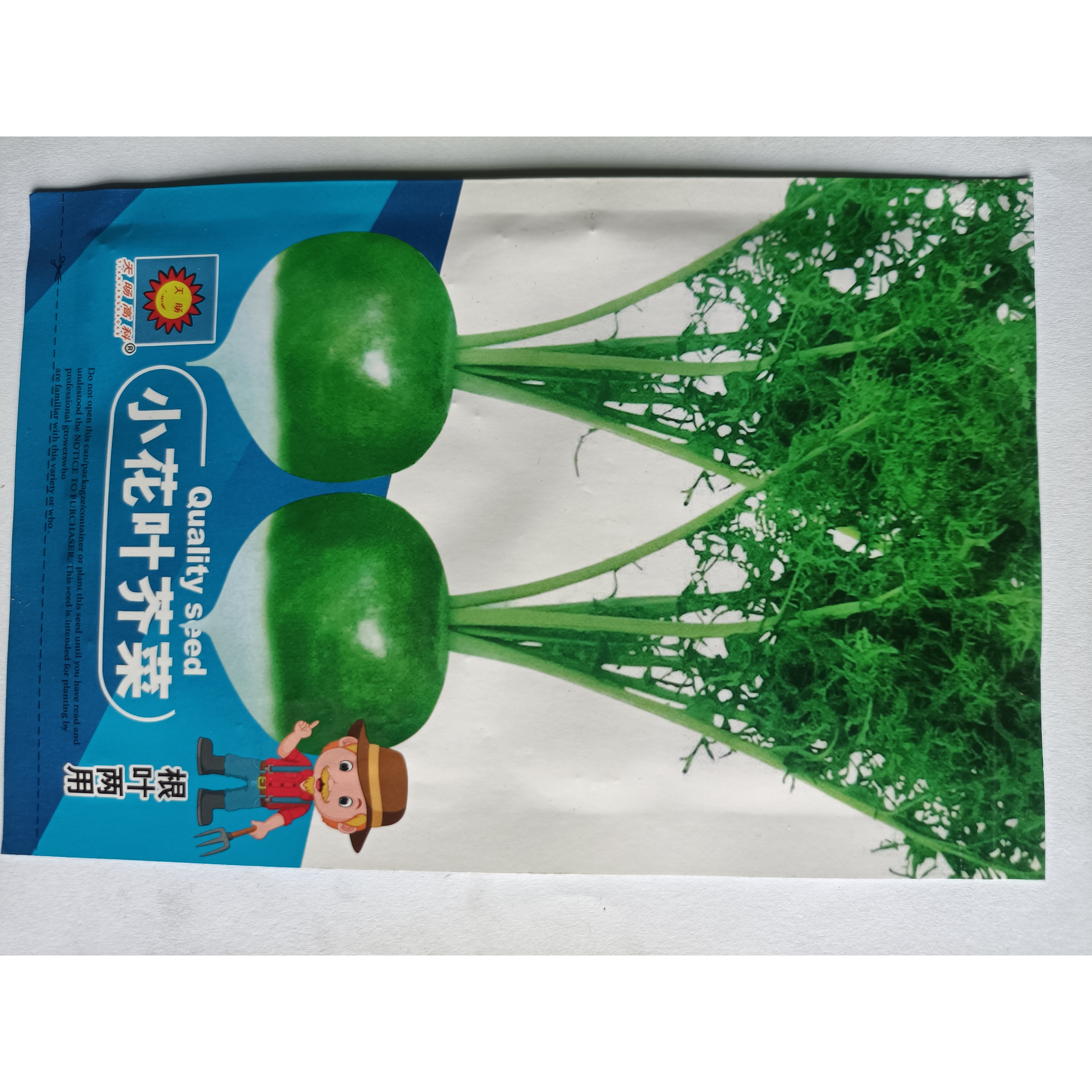 芥菜种籽光头小花叶芥菜种子秋季芥菜疙瘩易种