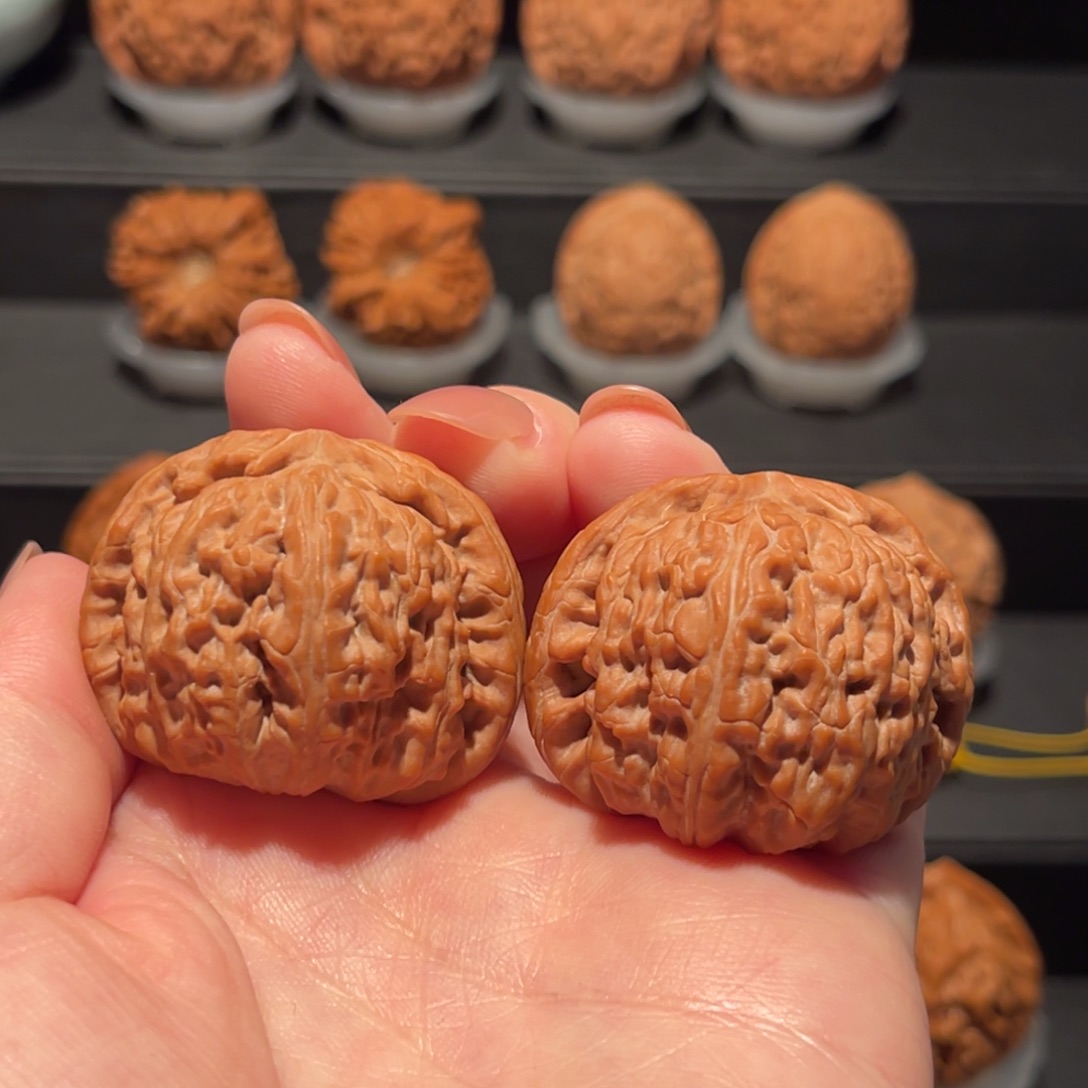 白狮子39精品，全品352