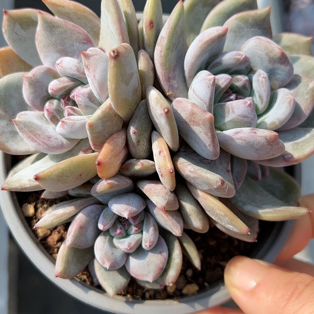 bhfhhbbhhhhbhhhhhhhh