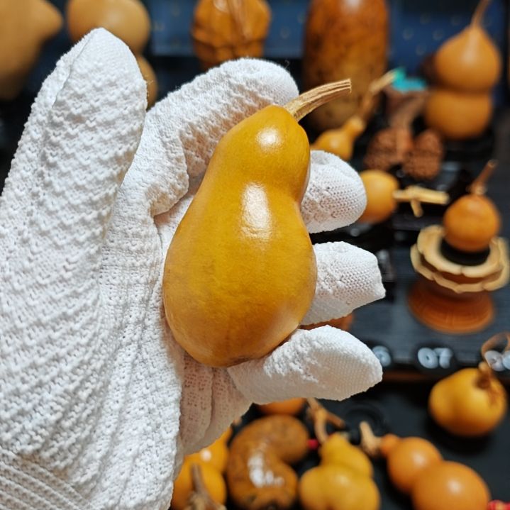 那***海直播间链接葫芦葫芦