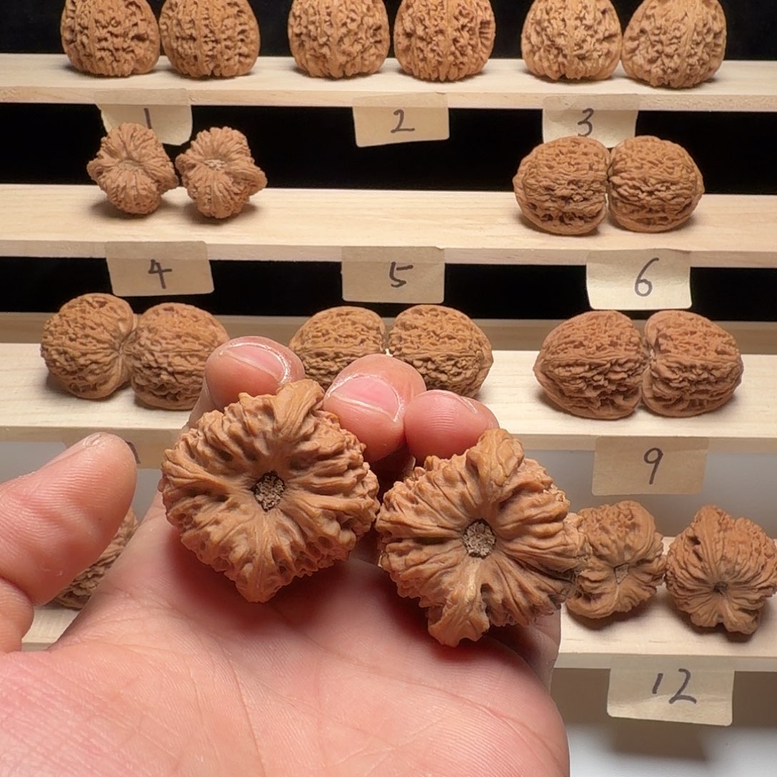 ****指大叶紫檀（黑酸枝木类）