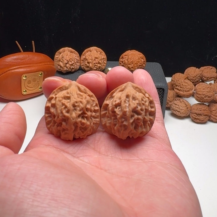 30-31-31野生111111