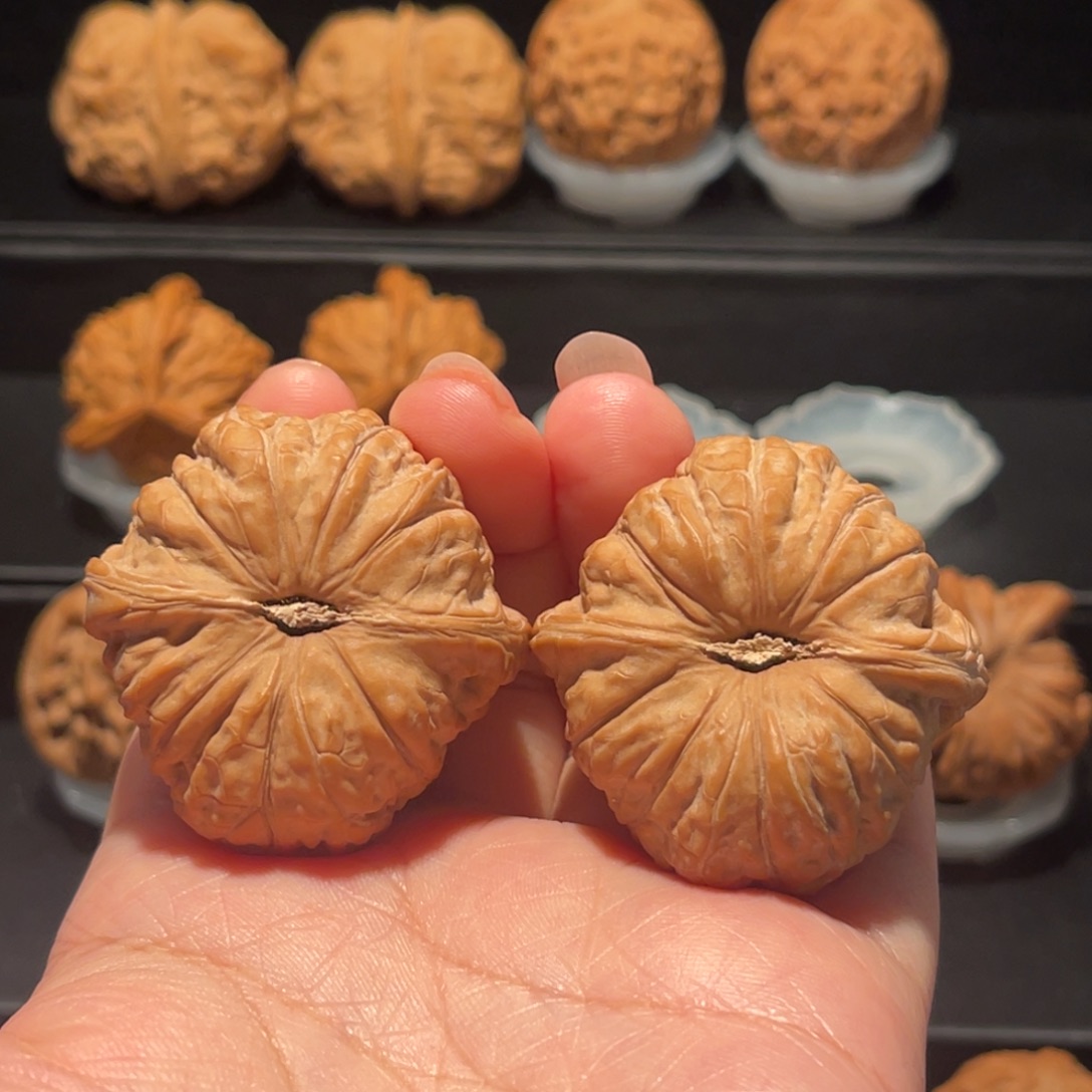 男***雄全品，精品，42南瓜敦215