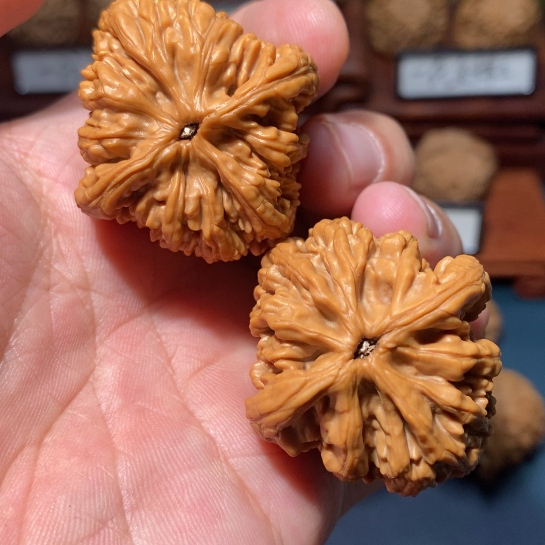 文玩核桃把件虎头王全品