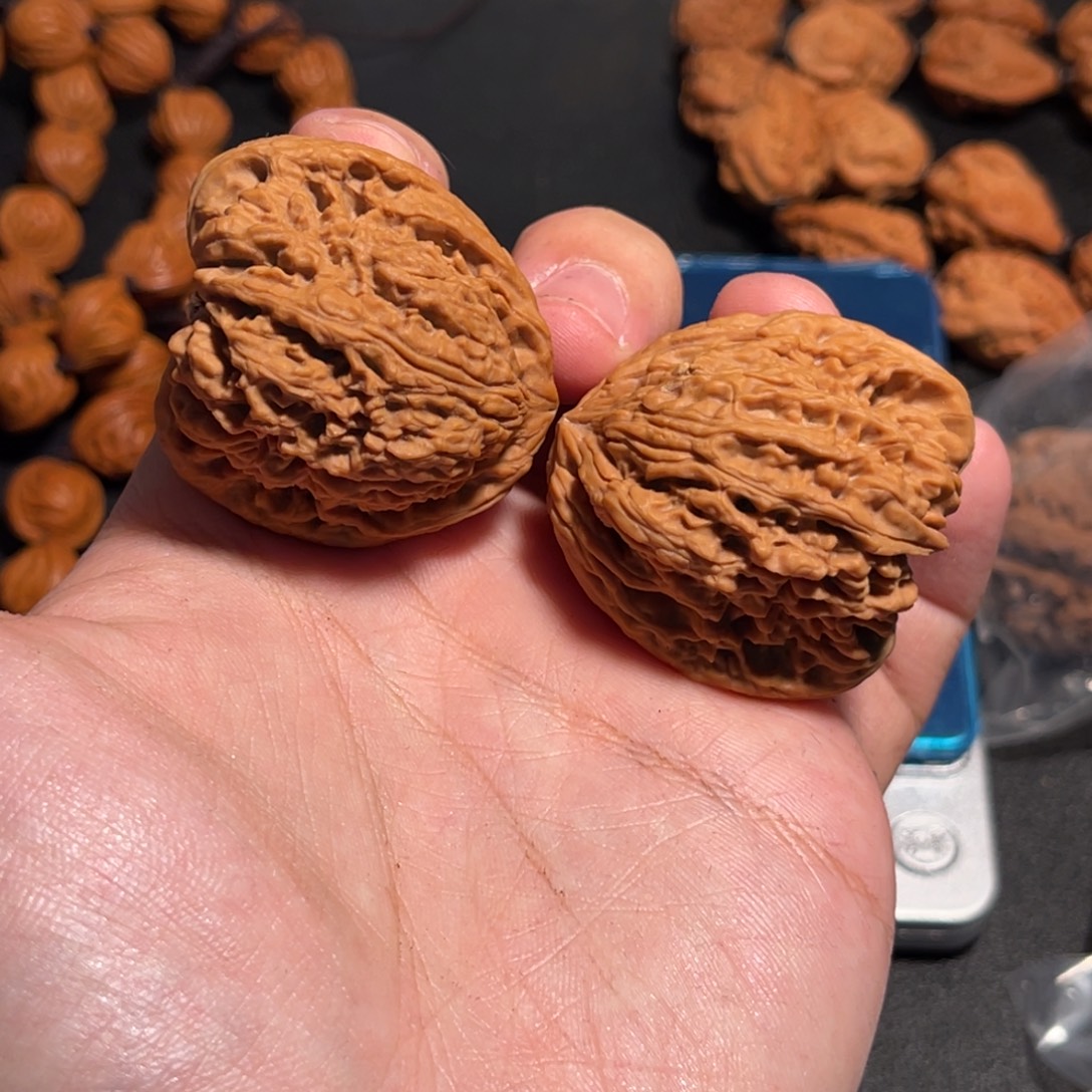 D***y38涿鹿一代南将天残脚