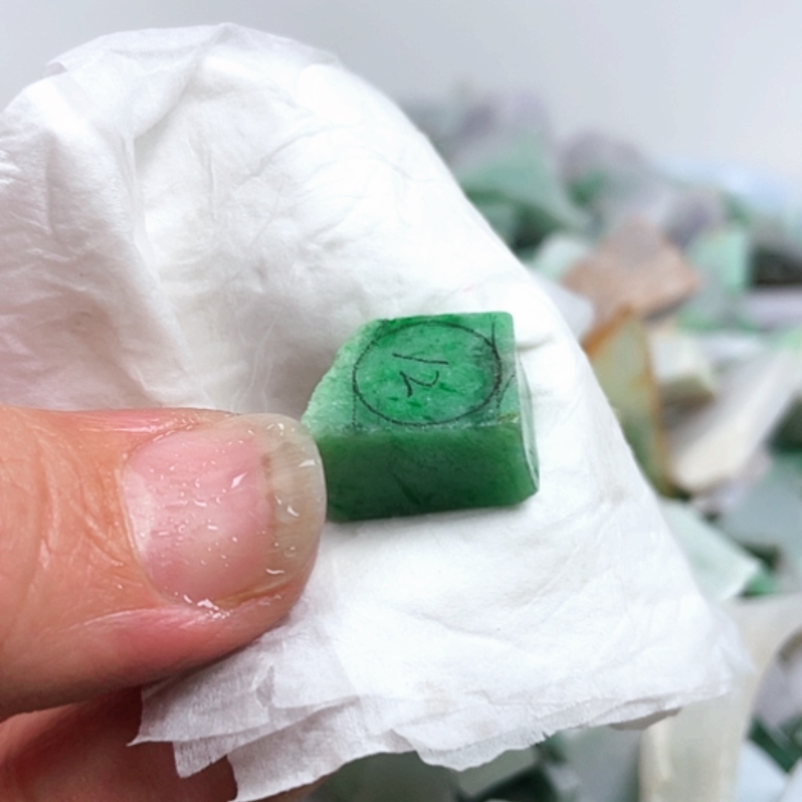 【闪购商品】翡翠颈饰未镶嵌用**羽A货