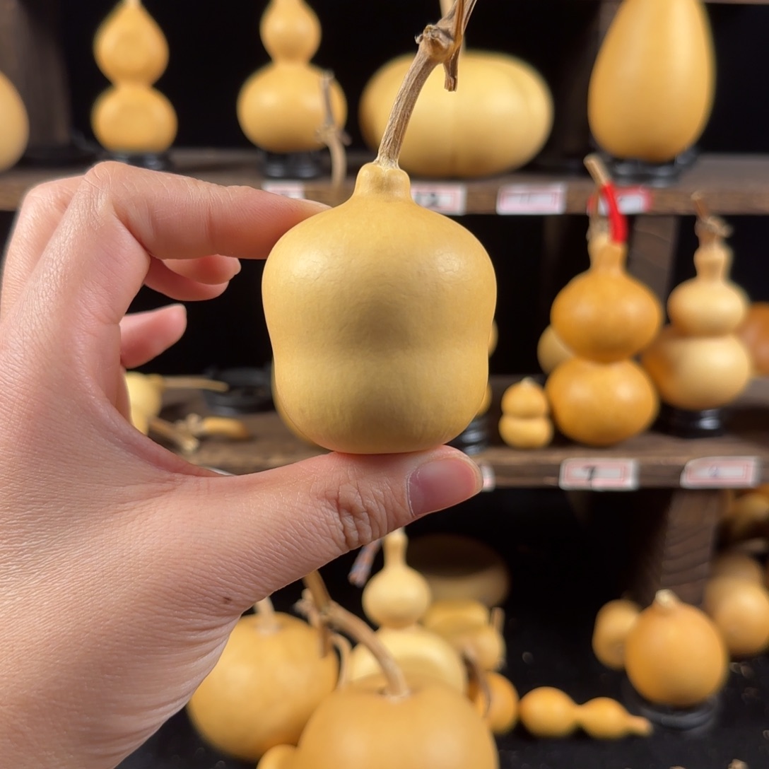 小***9葫芦葫芦葫芦葫芦葫芦葫芦葫芦