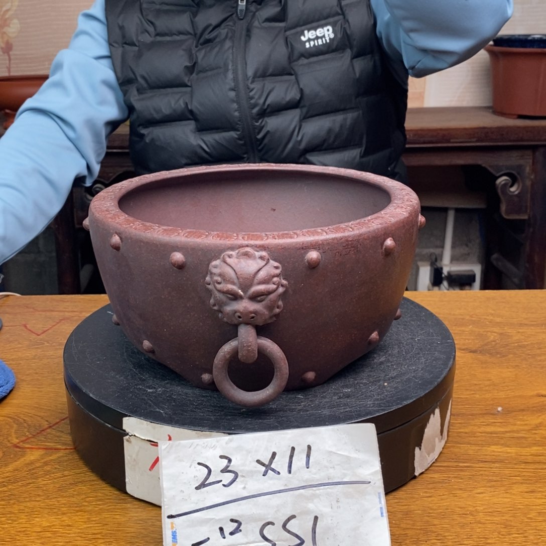 红陶货号一只SS1