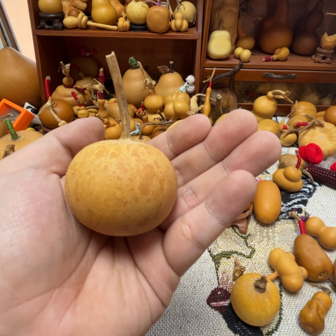 来***吗葫芦花叶苹果哈哈哈哈