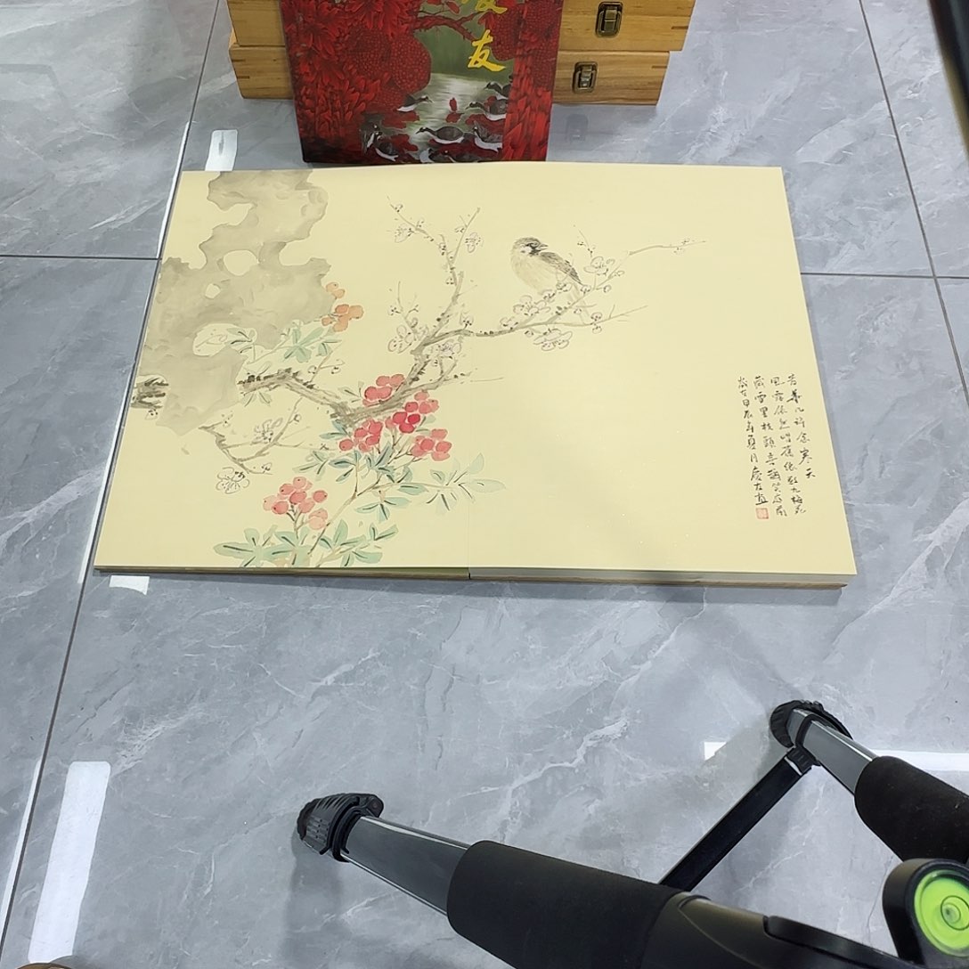 国画红皮书指出该公司