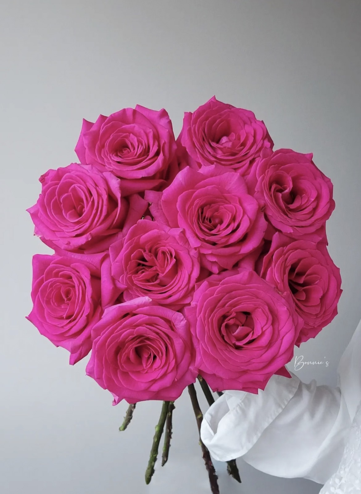 弗洛伊德单头玫瑰  云南基地直发