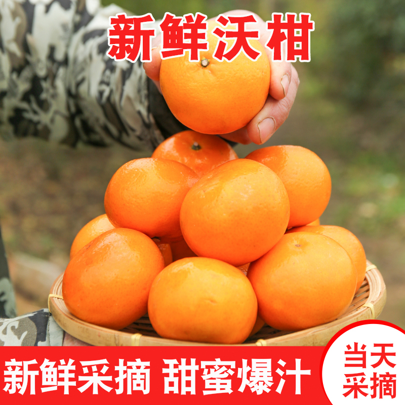 【官方补贴】广西武鸣沃柑当季新鲜水果皮薄香甜柑橘花皮5/9斤无核沃柑广西壮族自治区广西壮族自治区南宁市