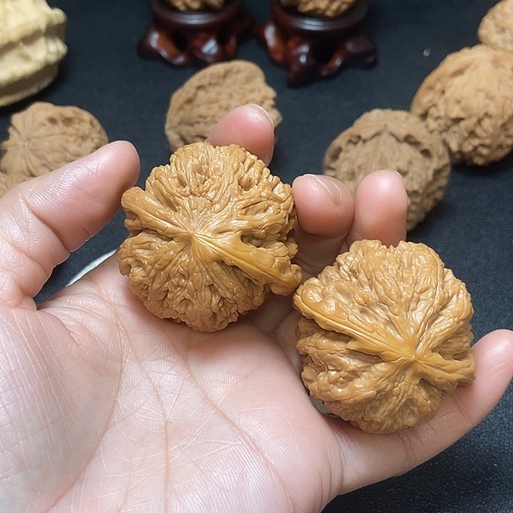要****木质类大粗筋。狮子头