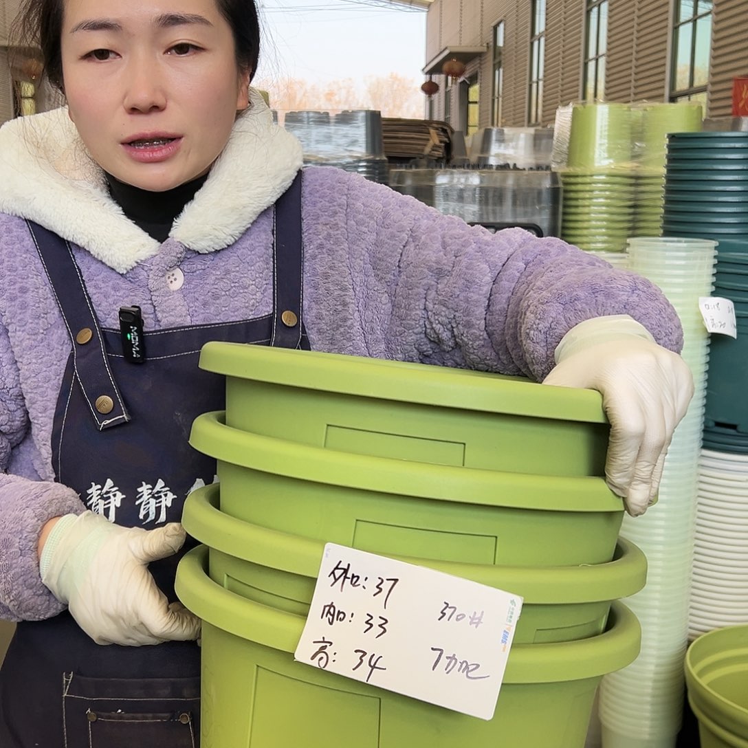 玫瑰盆370#果绿4个无托