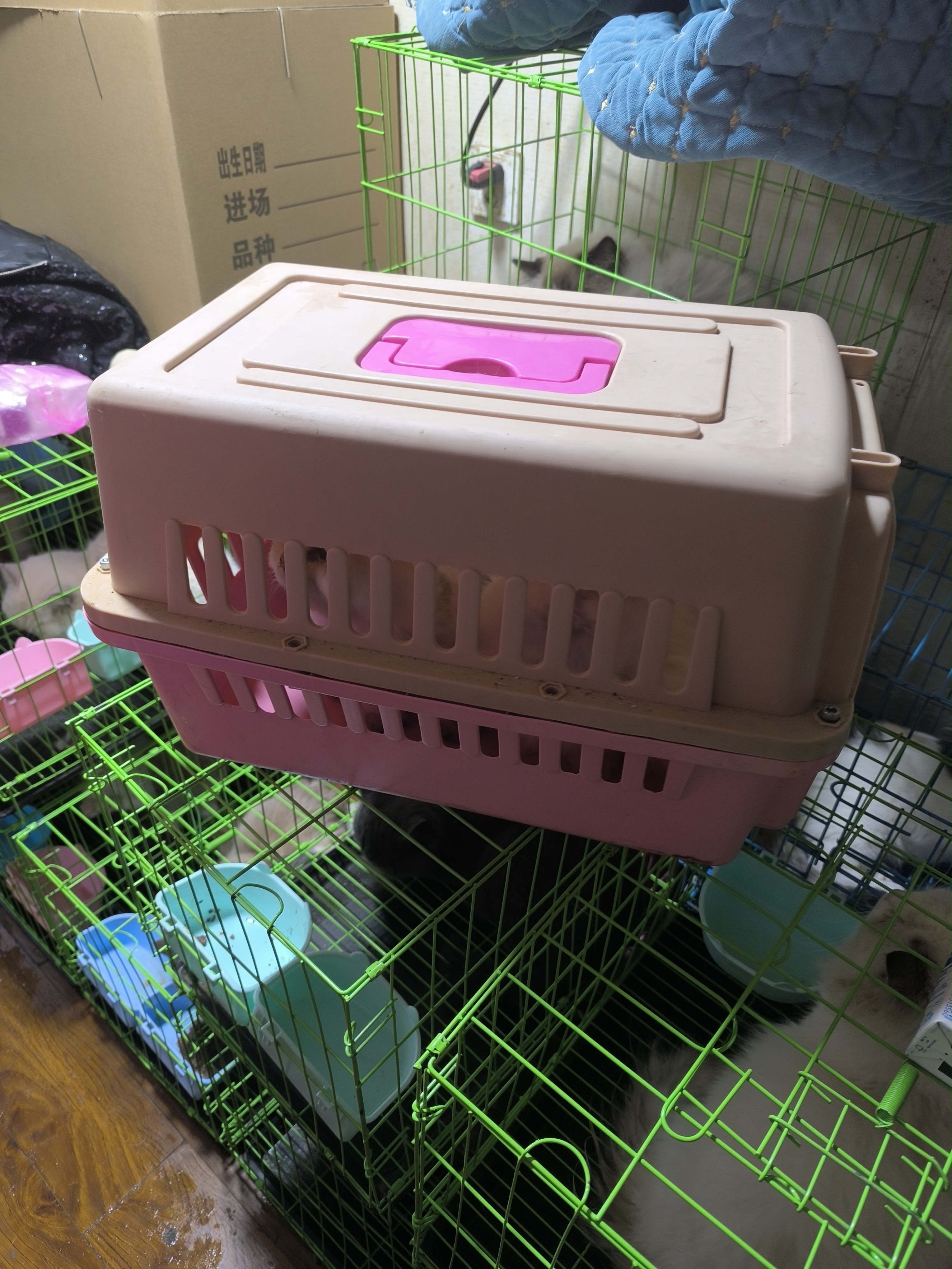 宠物多用运输箱运输笼