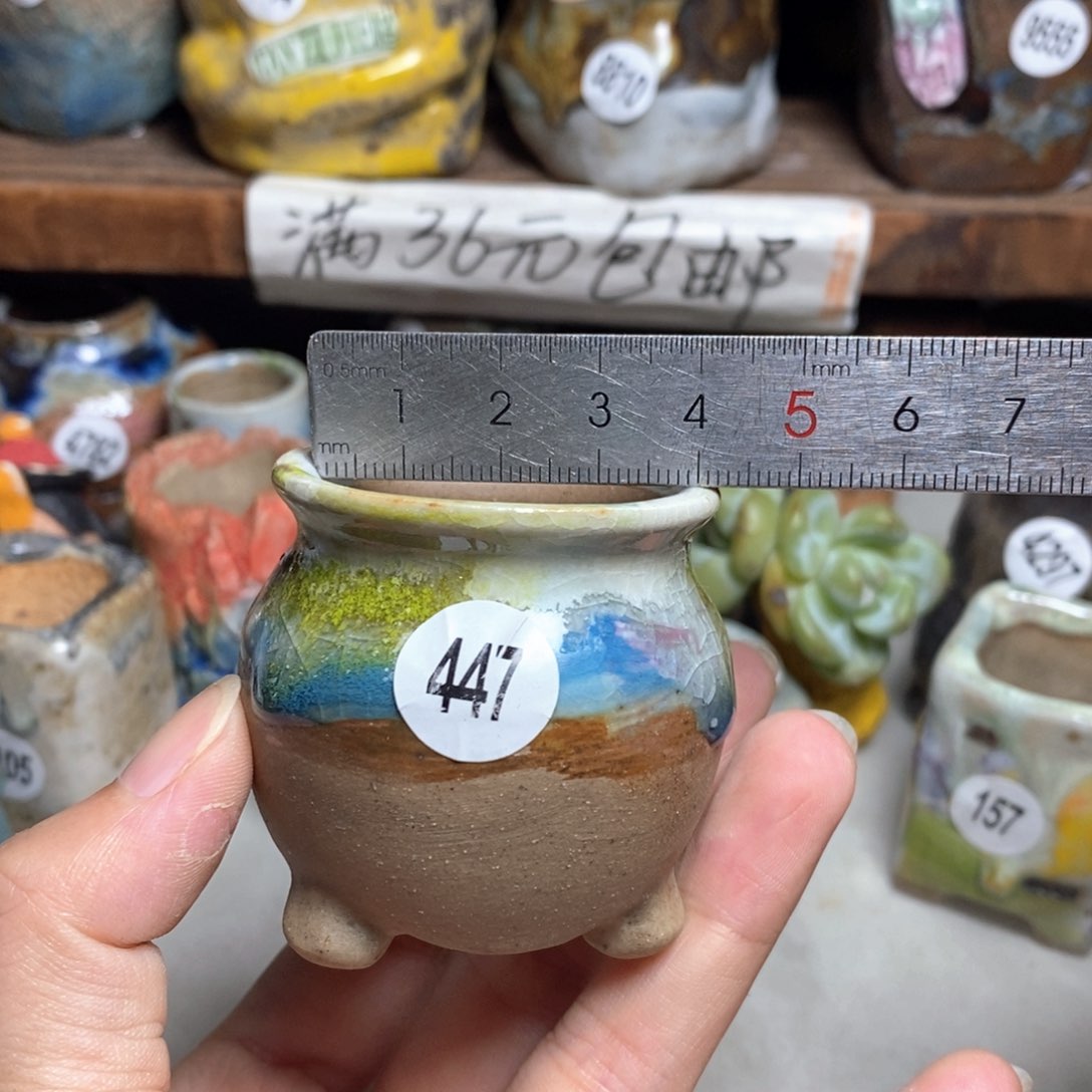 拍5送一个小礼物