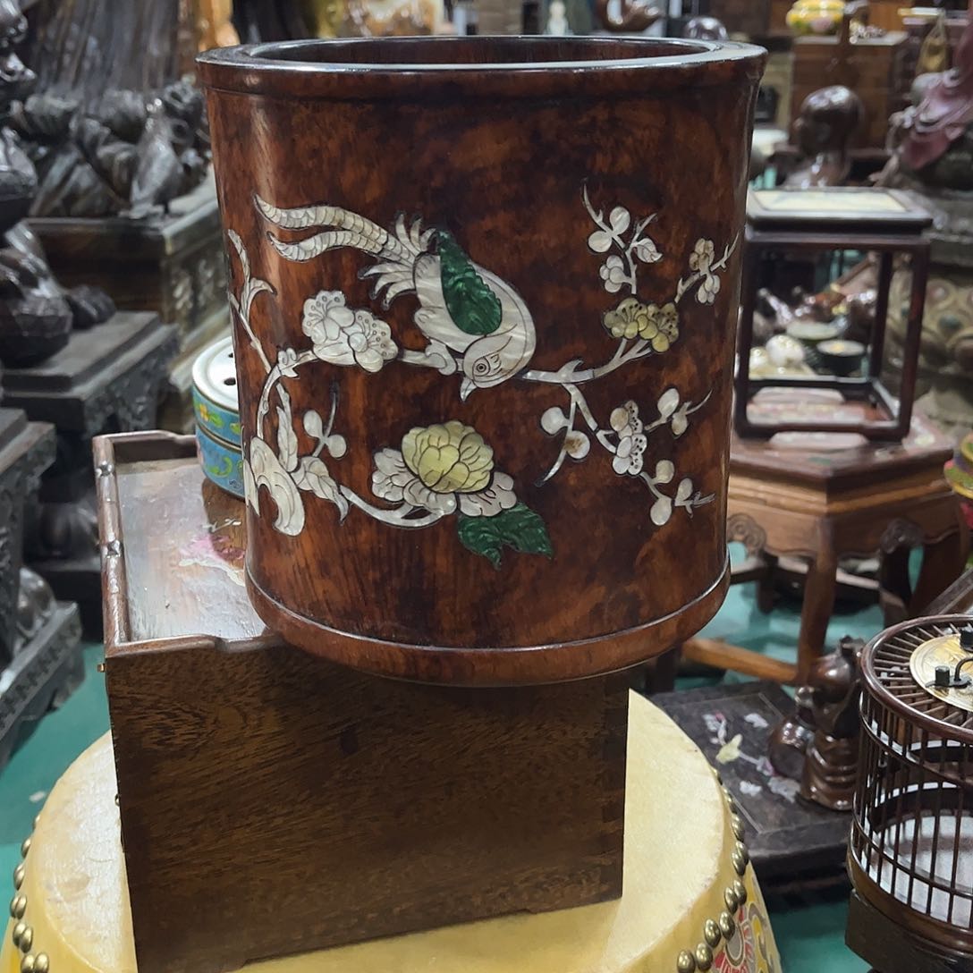 参**树超级福利超级给力