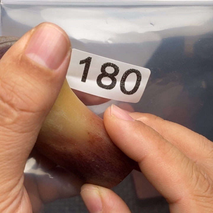 科檀（科特迪瓦檀木）