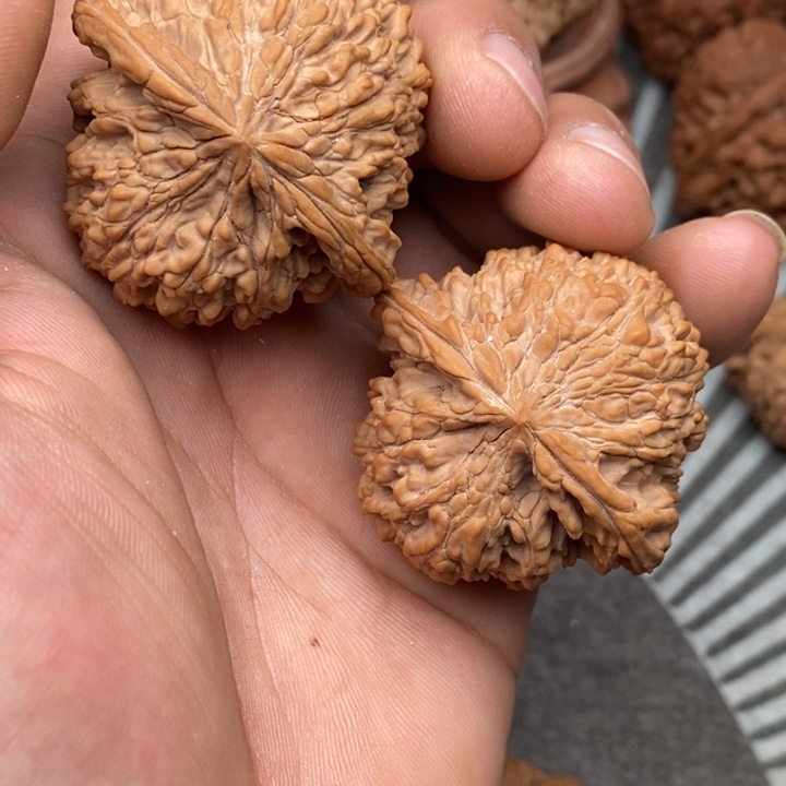 文玩核桃把件满天星