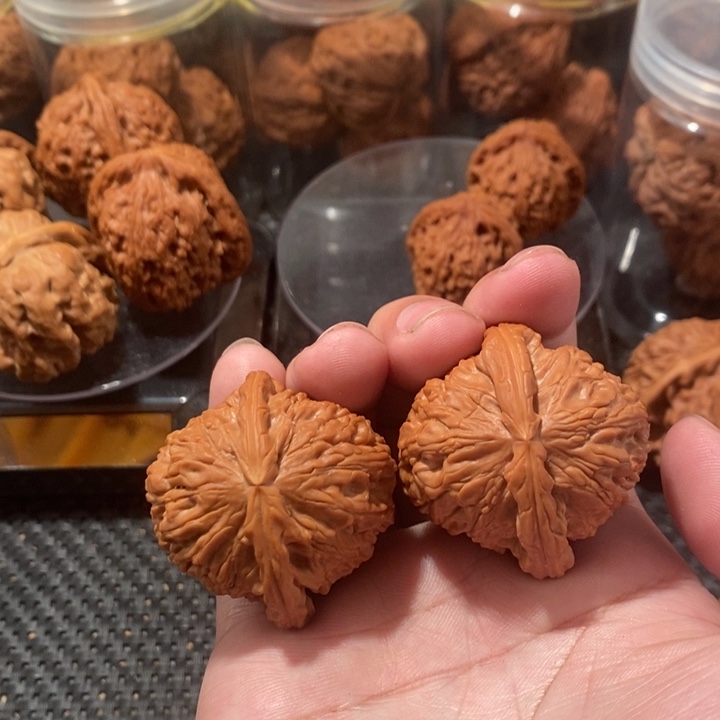 文玩核桃把件微修白狮子41+