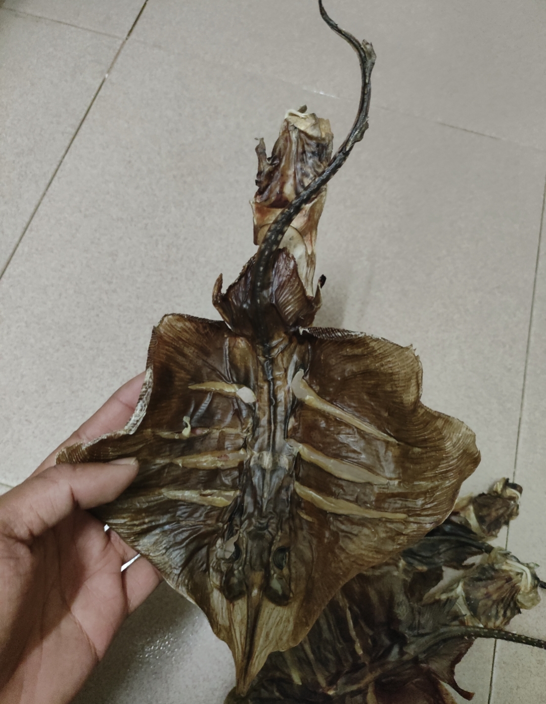 马宫本港天星鱼干(魔鬼鱼)