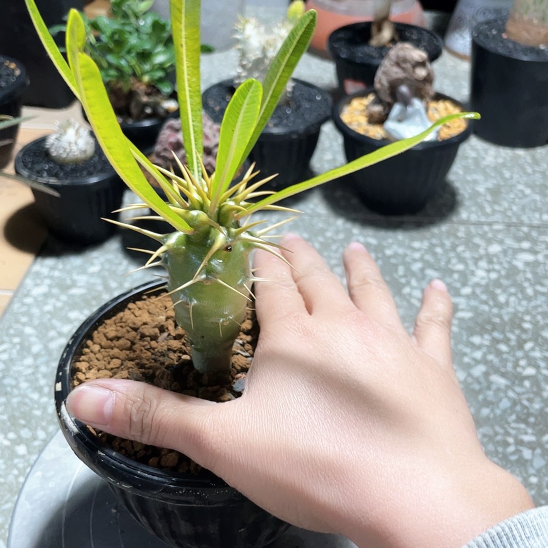 666666666666666666666