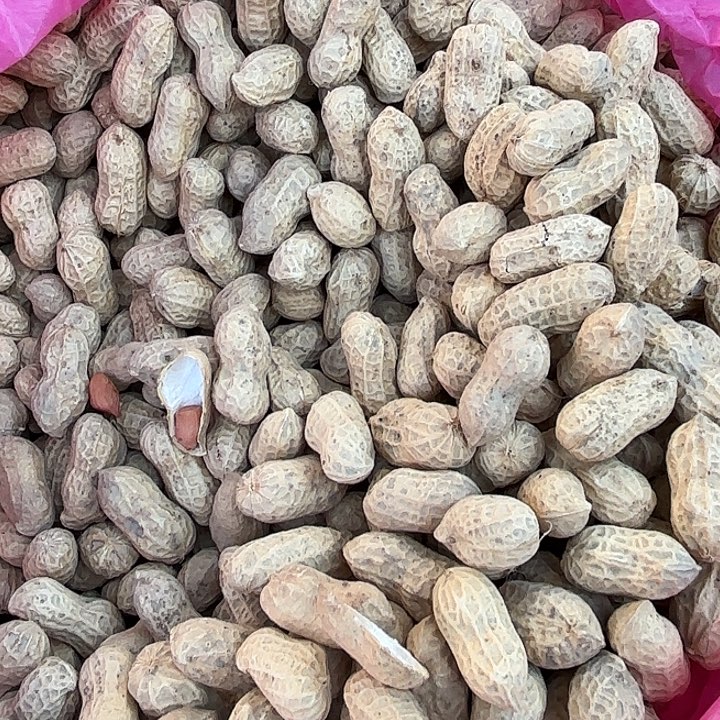 中国大陆本地花生2斤