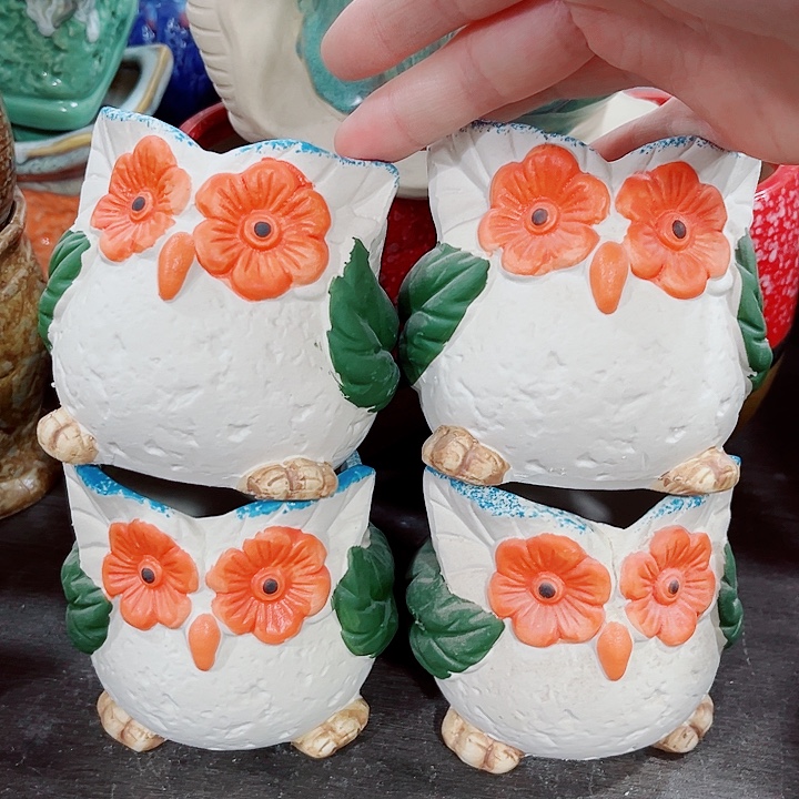 多肉花盆满10元包邮