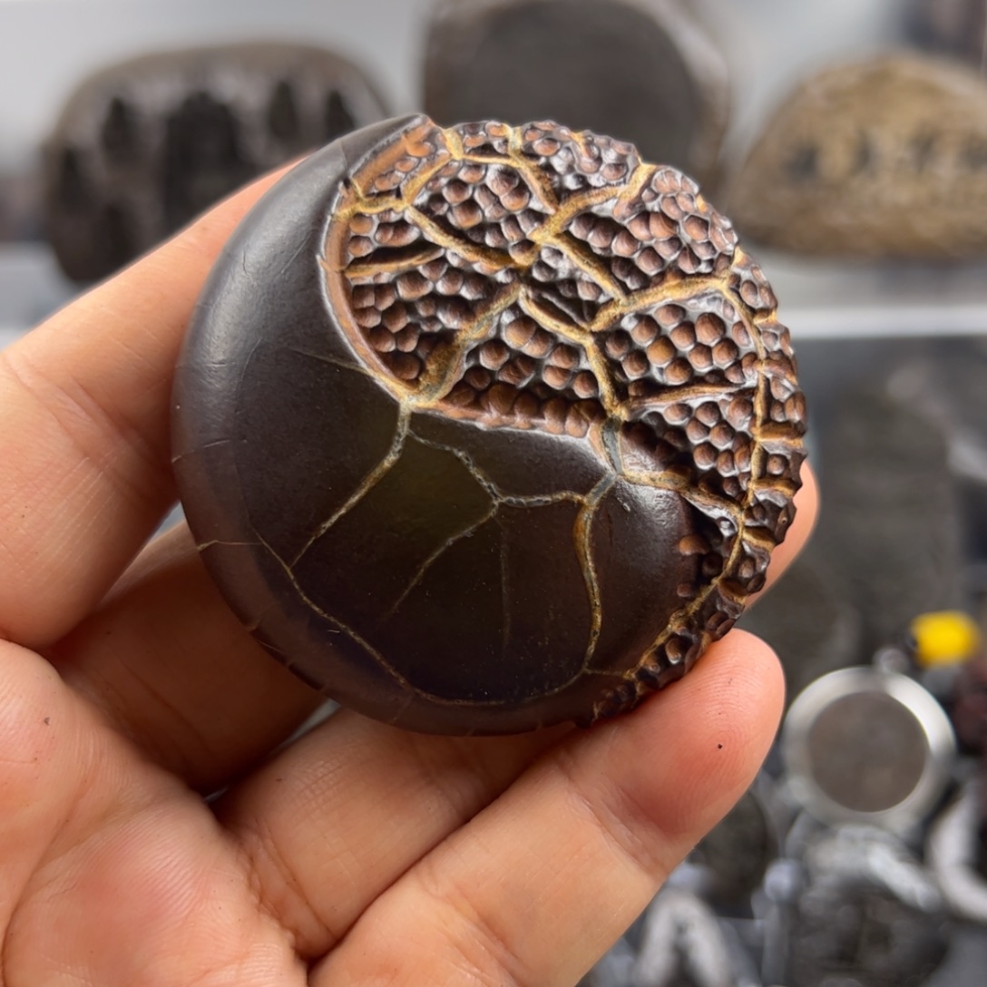 看看看看看看看看看