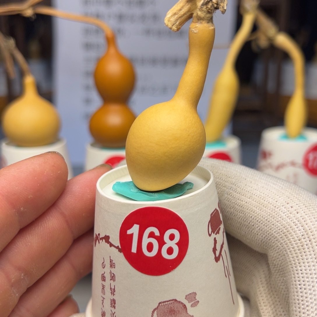 闪电购自助下单编号168