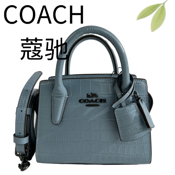 99新 COACH/蔻驰 蓝色鳄压戴妃小废包手提包G25116956底长15X12