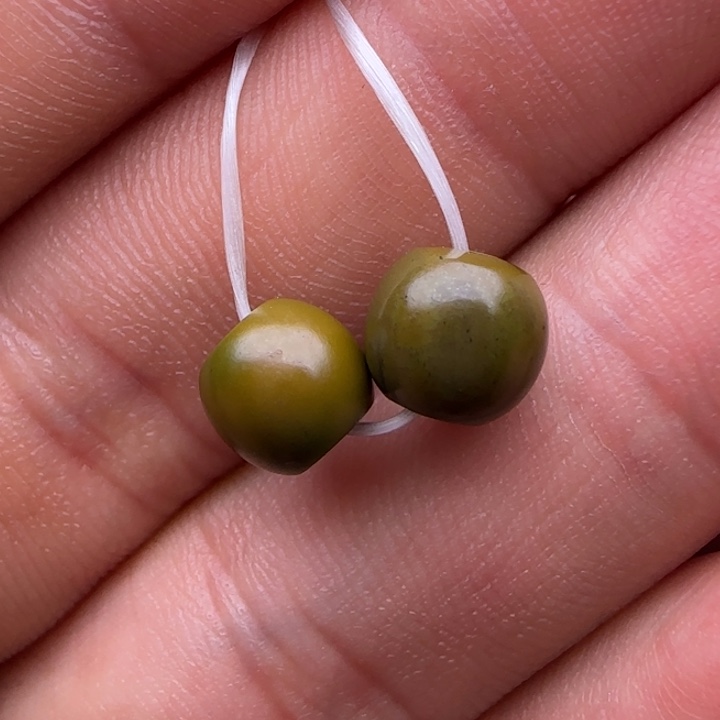 无非金属dui xin xi