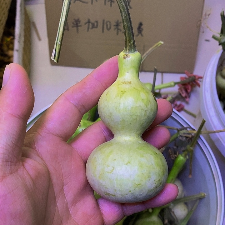 浪***?长嘴哈哈哈哈哈哈哈哈哈哈好