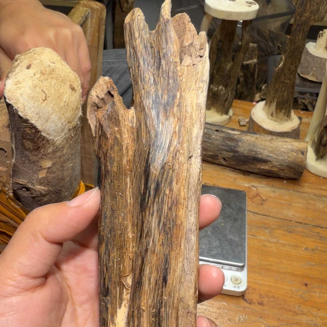 棋楠沉香白奇块料51k